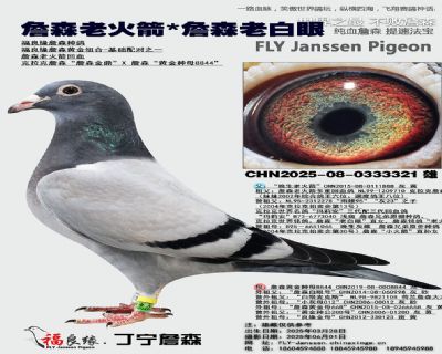 詹森老火箭X詹森老白眼