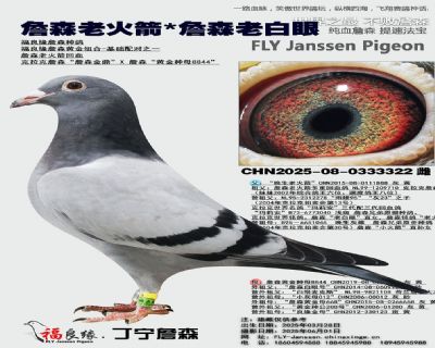 詹森老火箭X詹森老白眼