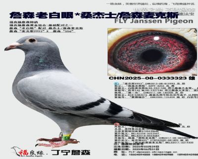 詹森老白眼X桑杰士/詹森麥克斯