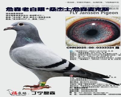 詹森老白眼X桑杰士/詹森麥克斯