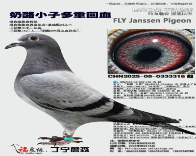 奶酪小子多重回血