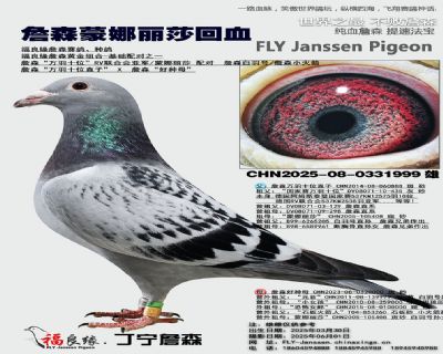 詹森蒙娜麗莎回血