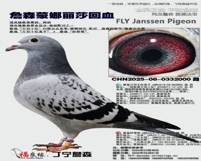 詹森蒙娜麗莎回血