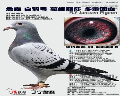 詹森 白羽號 蒙娜麗莎 多重回血