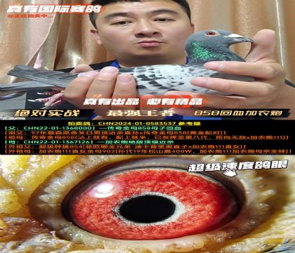 858Ѫr(nng)ڡ10겻