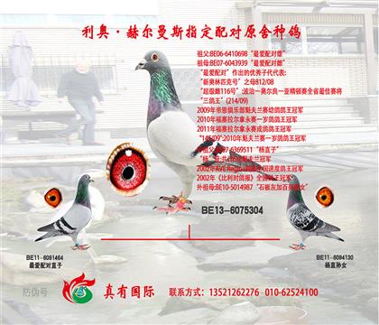 游