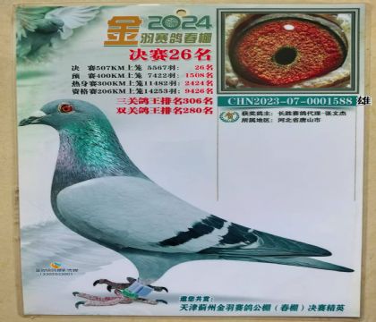 Qِ26