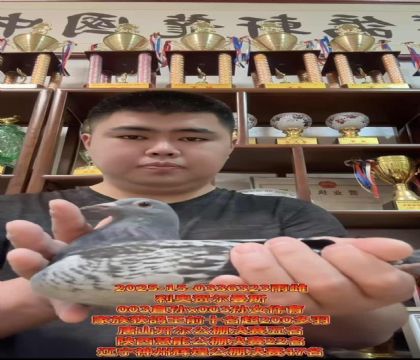 WR˹003ֱOX003OŮ