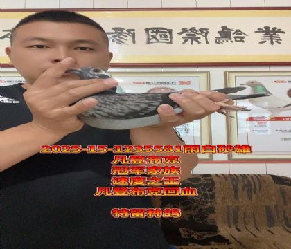 ܊ǲ˸ŮѪN