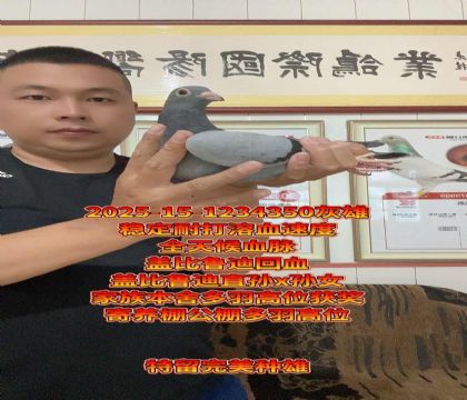 ȫѪ}w?sh)ֱOxOŮ߼