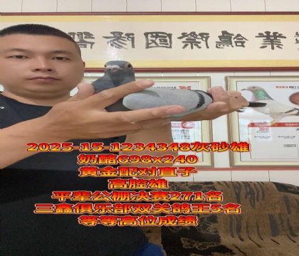 S䌦ֱ698x240ǻ