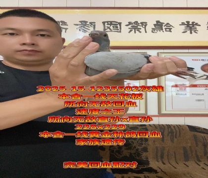 컨Ѫ}o߷N۽ĸѪ