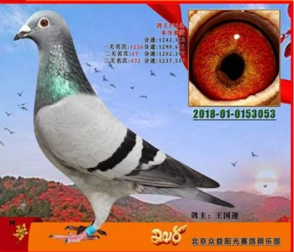 王國迎--北京眾益陽光俱樂部千元特比環(huán)三關綜合151名