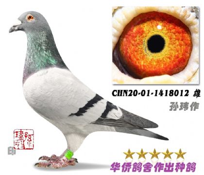 8̖--Aϵ䷶(ni)ϵ1418012-