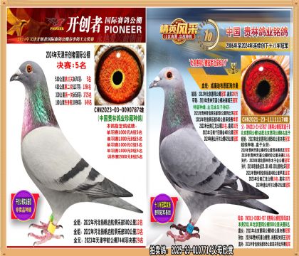 _(chung)500Qِ5ֱŮ