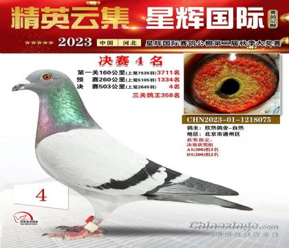 星輝國際決賽4名
