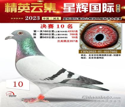 星輝國際決賽10名