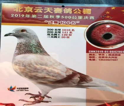 云天公棚決賽104名