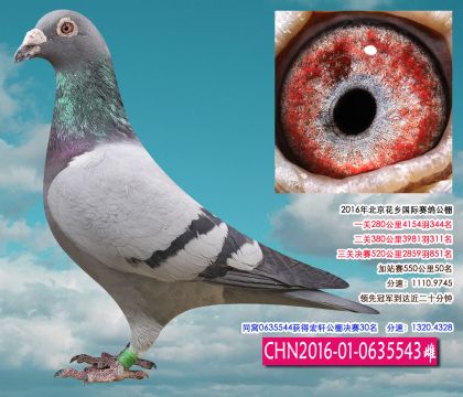 花鄉(xiāng)公棚加站50名