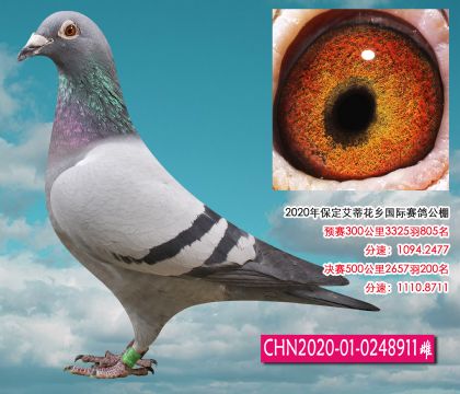 花鄉(xiāng)公棚決賽200名