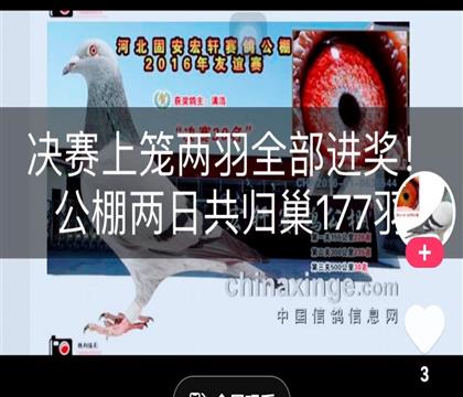 ͬC