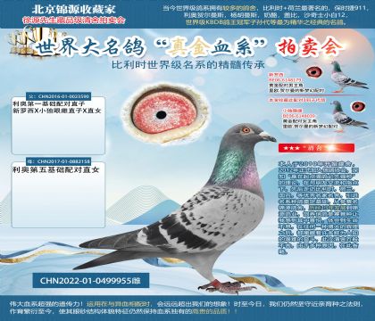 利奧22-0499955雌