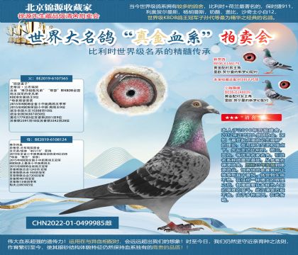 蘭布瑞契22-0499985雌