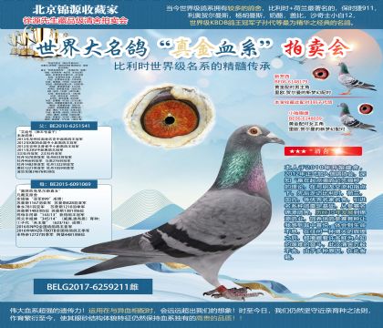 馬塞爾.沃特斯原舍-“艾迪號(hào)直女(獅王號(hào)直孫女)”