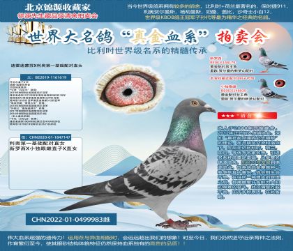 迪霍迪蒙蘇X利奧22-0499983雌
