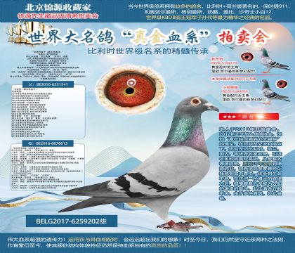 馬塞爾.沃特斯原舍-“艾迪號(hào)直子(獅王號(hào)直孫)”