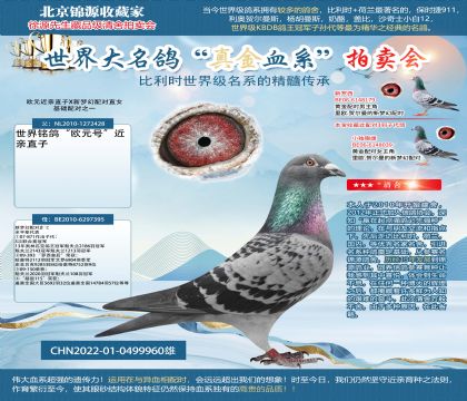 歐元X新羅西22-0499960雄