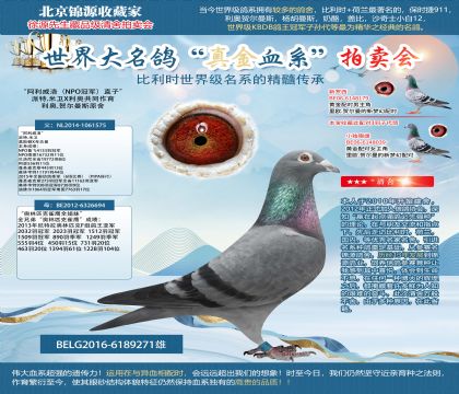 利奧原舍-“阿利威洛(NPO冠軍)直子”