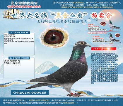 吳淞22-0499963雌(同窩964)