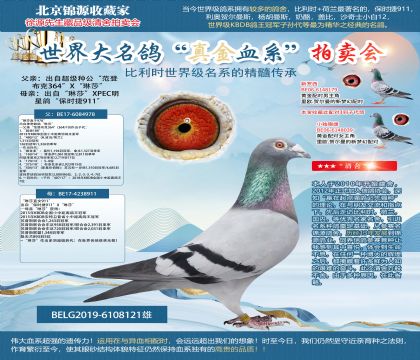 史蒂芬.蘭布瑞契原舍-琳莎雙重回血