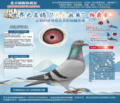金環(huán):利奧第二基礎(chǔ)配對(duì)直子22-0499967雄