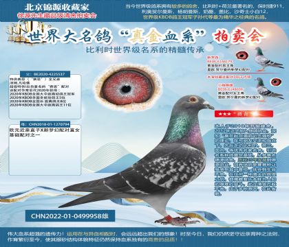 費(fèi)恩X利奧22-0499958雄