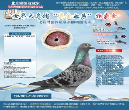 歐元X新羅西22-0499977雄