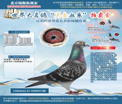 利奧基特爾22-0499973雌
