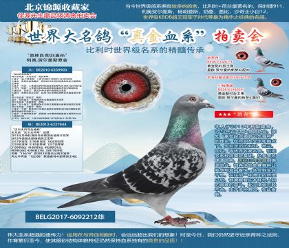 利奧原舍-“奧林匹克03直孫”