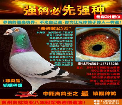 游13ǰʮ܊