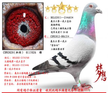 ɣʿһʿ피N