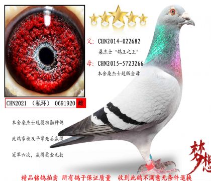 ɣʿ֮피Nƣ