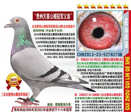 游蹫܊ֱ