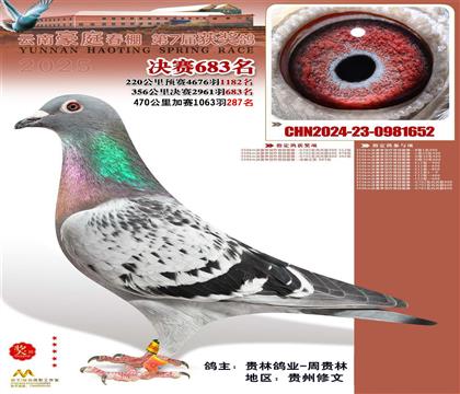 ȫ㣺ͥ287