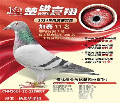 ֱOϼ蹫11