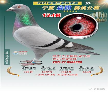 ɭ蹫Qِ134