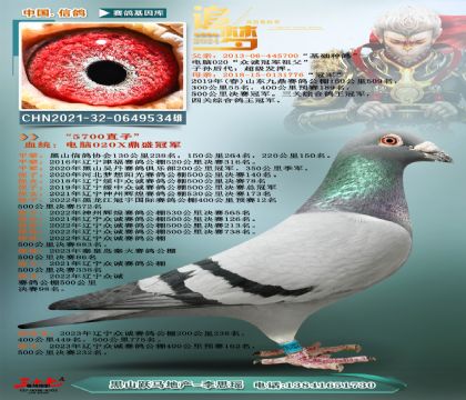 Ŷ܊ֱ