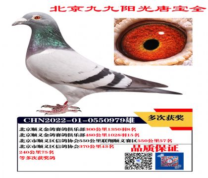 ɣʿ  Ϋ@