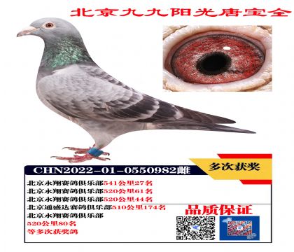 ɣʿX Ϋ@