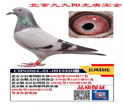 ?sh)X  Ϋ@